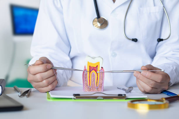 Best Urgent Care for Lost Fillings or Crowns in Dayton, NJ